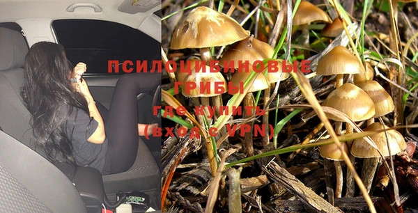 ALPHA-PVP Алексин